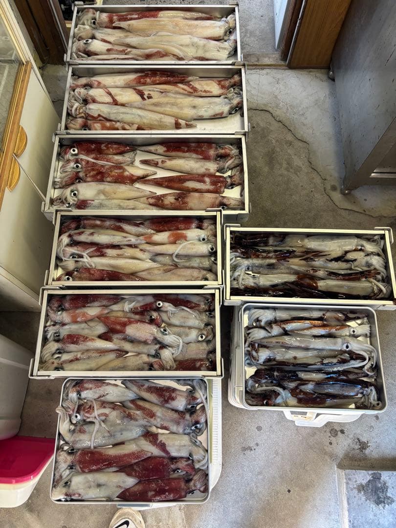 原価　鉛スッテ四つ目25号×２個＋ezスリム80mm ×11個 計13個セット