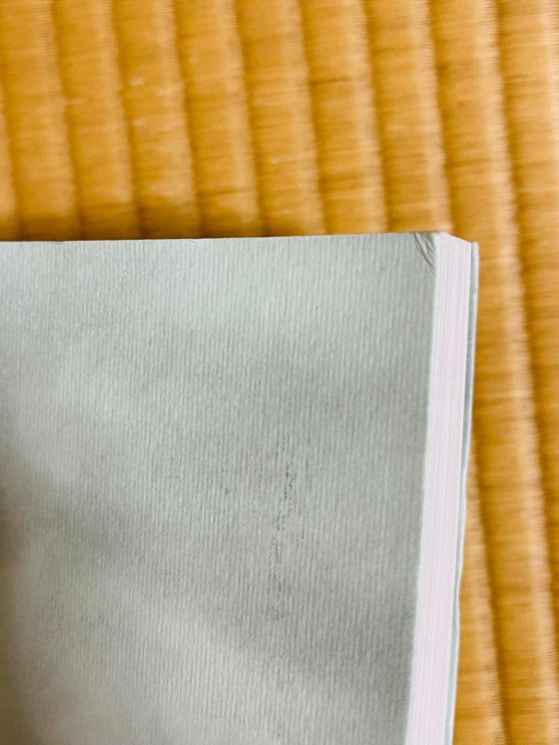 アート・デザイン・音楽 Der Wind,das Light -Visual Language ECM