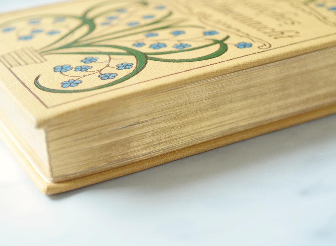 ドイツ 古書 アンティーク クリスチャン 勿忘草のメモリアルブック 洋書