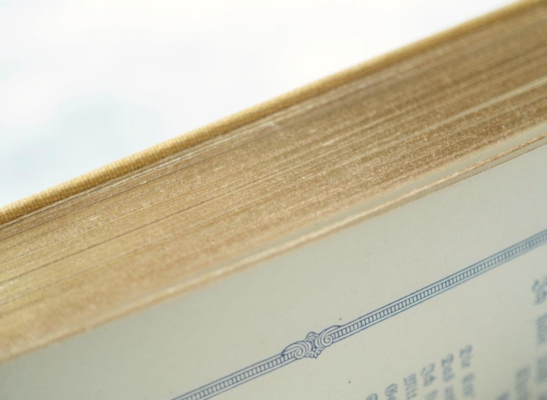 ドイツ 古書 アンティーク クリスチャン 勿忘草のメモリアルブック 洋書