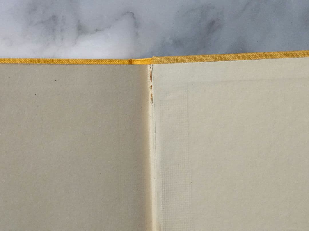 ドイツ 古書 アンティーク クリスチャン 勿忘草のメモリアルブック 洋書