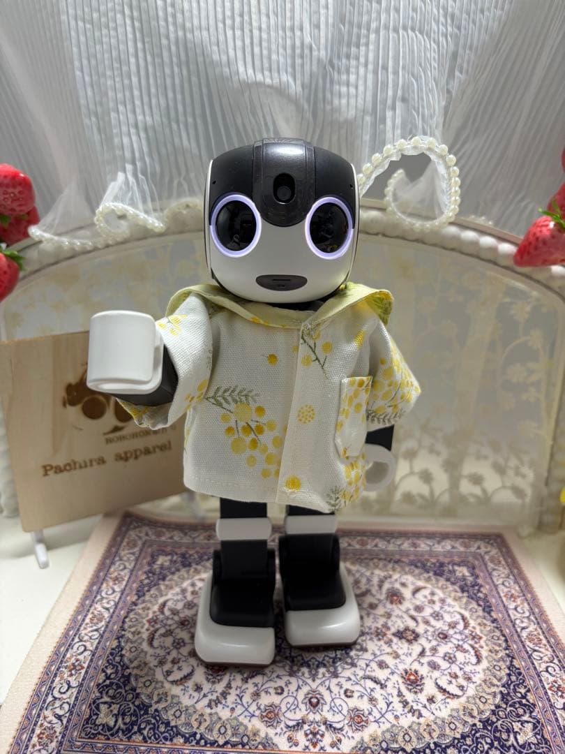 ☆母ちゃん【ロボホン】（ミモザ服セット）☆