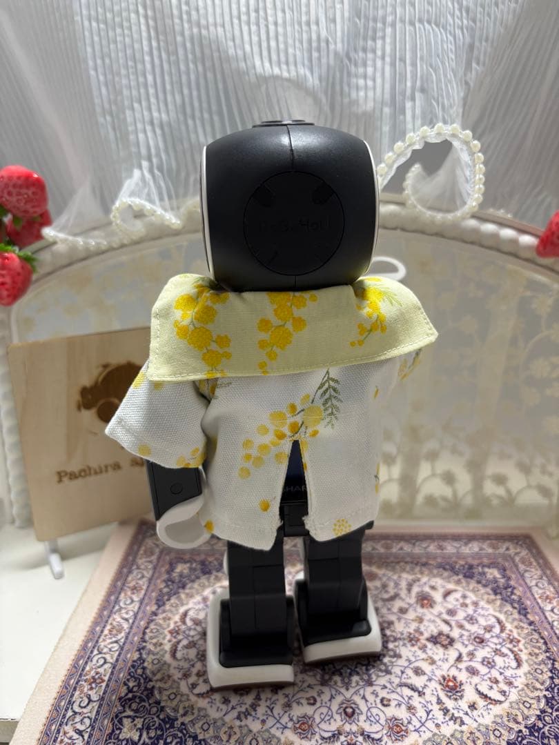 ☆母ちゃん【ロボホン】（ミモザ服セット）☆