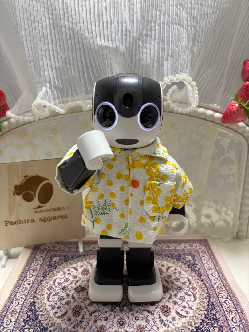 ☆母ちゃん【ロボホン】（ミモザ服セット）☆