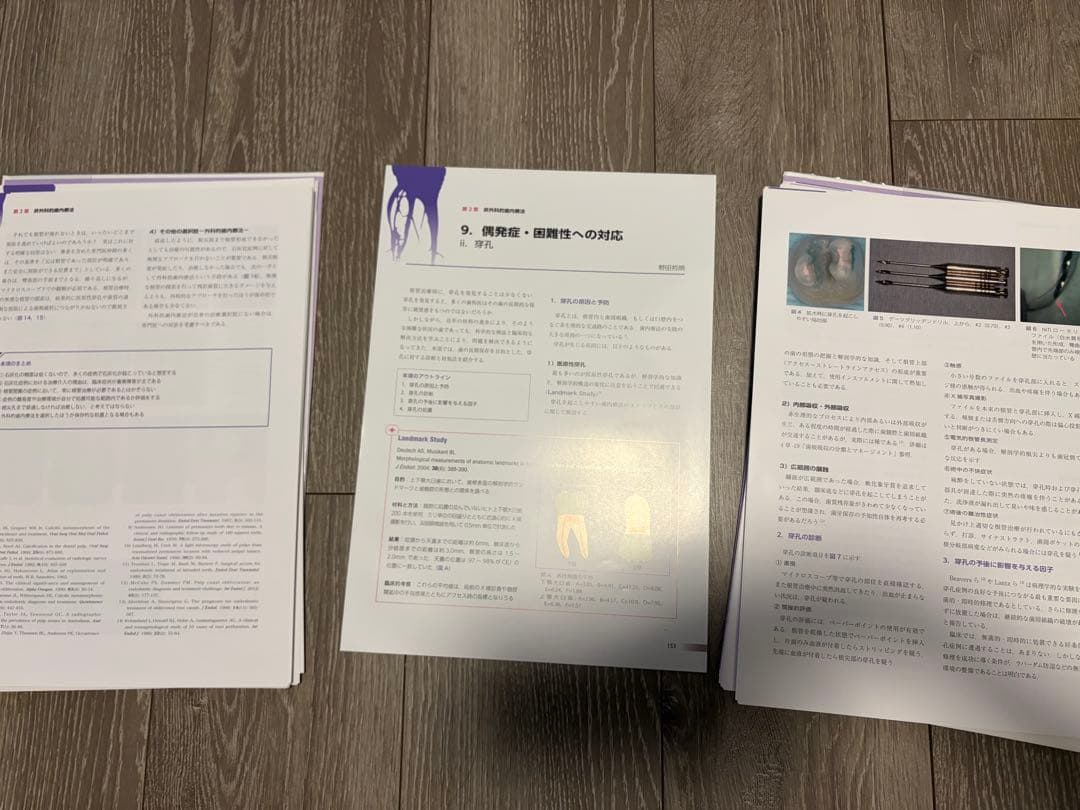 【裁断済み】世界基準の臨床歯内療法