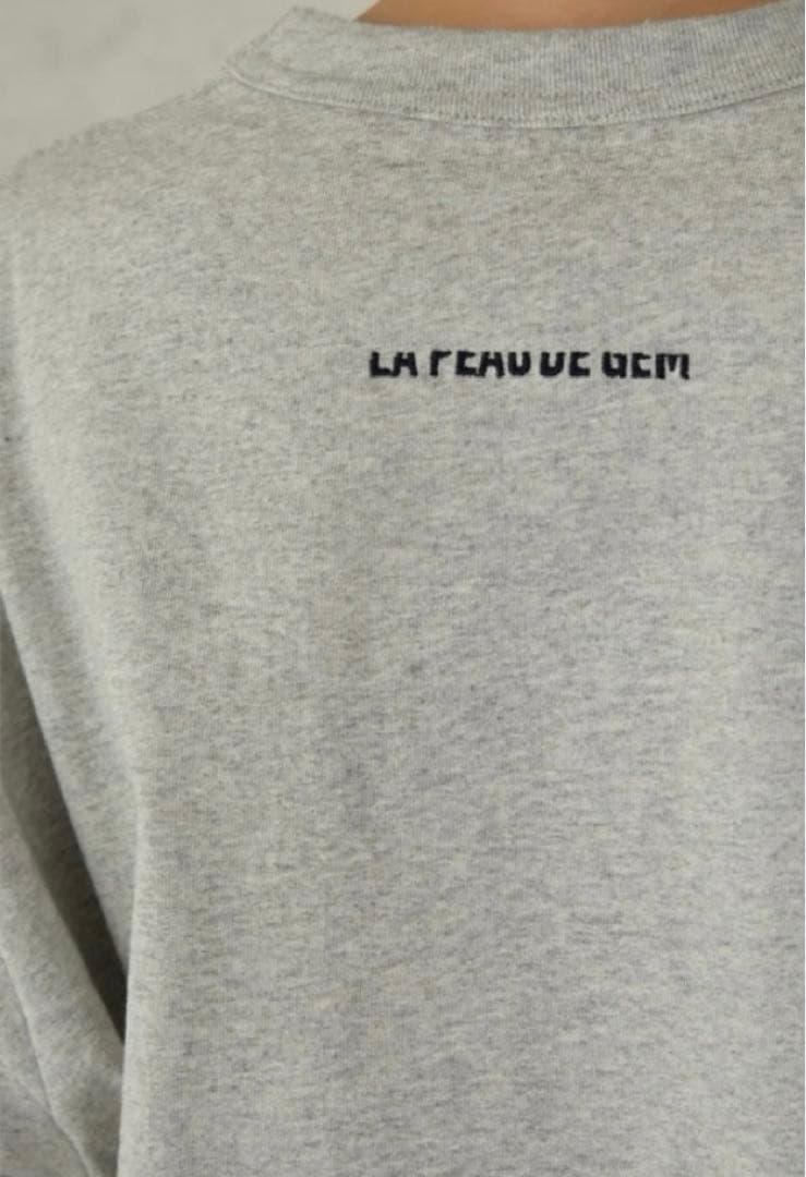 wing…✨LA PEAU DE GEM