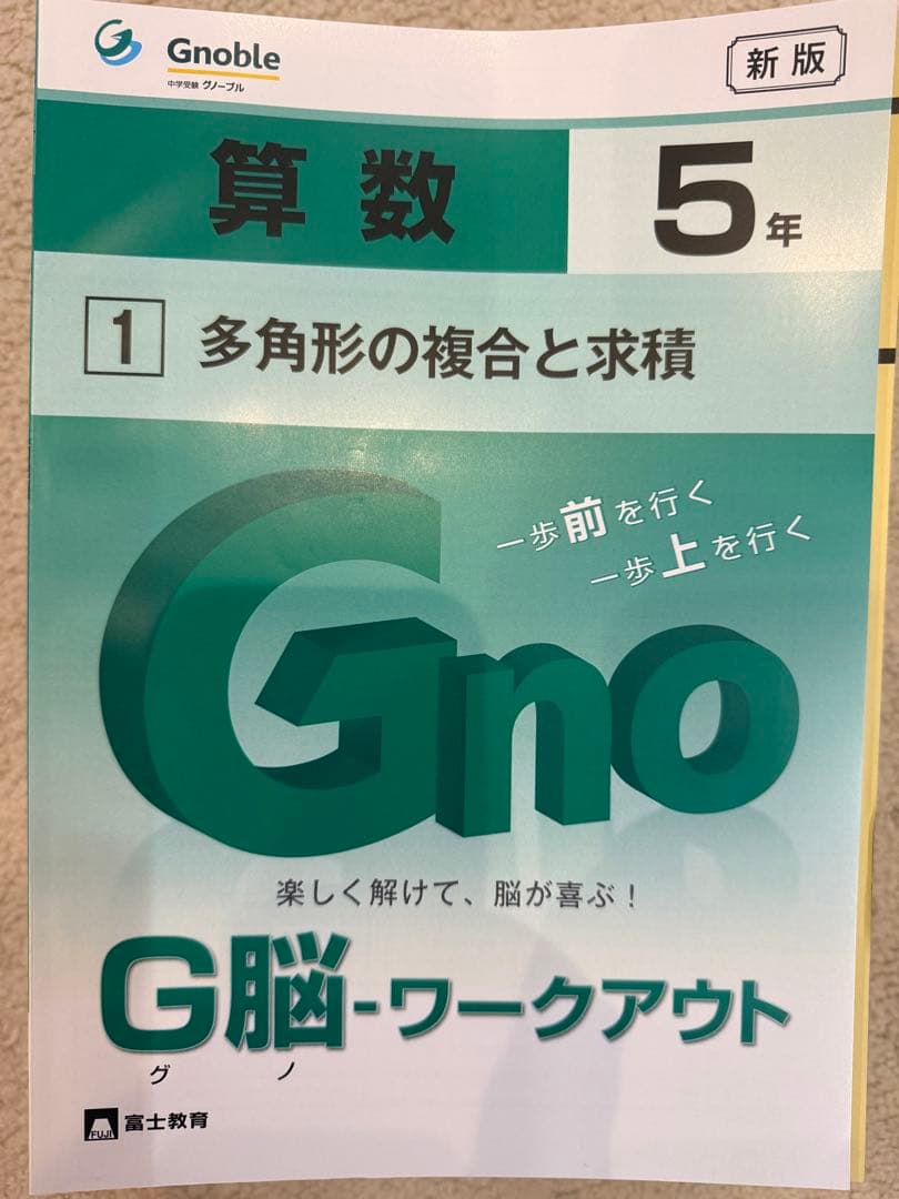 5年生 算数 グノーブル G脳グノワークアウト　全30冊
