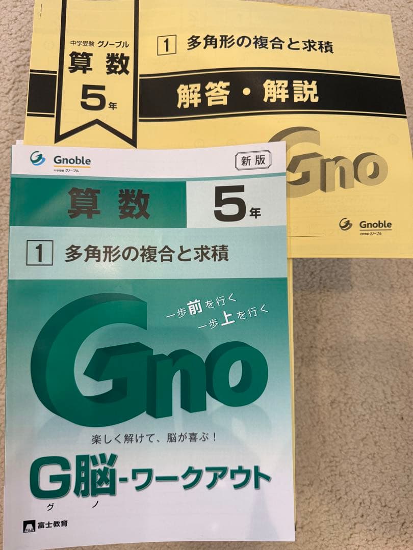 5年生 算数 グノーブル G脳グノワークアウト　全30冊