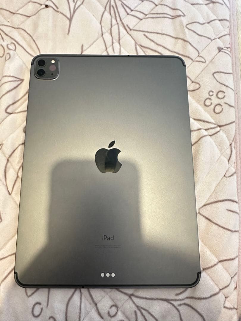 Apple iPad pro 11 第2 256GB sim フリ美品