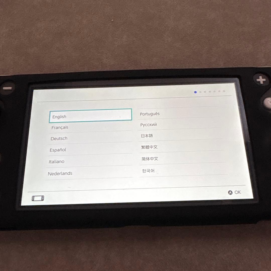 Nintendo Switch light 本体 グレー カバー ケース付き