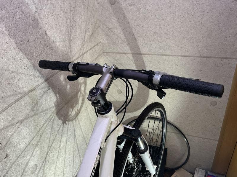 LOUISGARNEAU TRX Ⅲ disc　ルイガノ