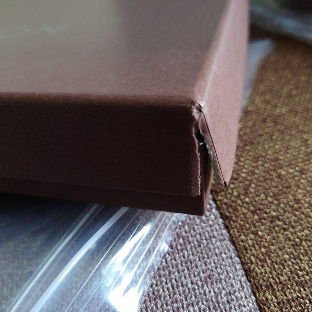 Louis Vuitton 　ダミエ・グラフィット　エシャルププティ　 マフラー