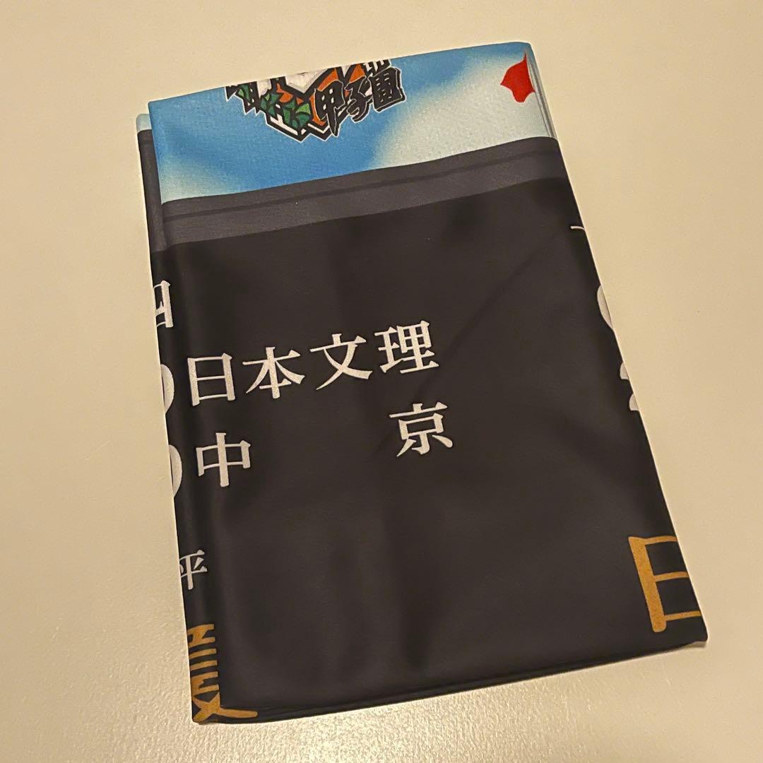 が*ん様 2025 甲子園オリジナル冷感クールタオル