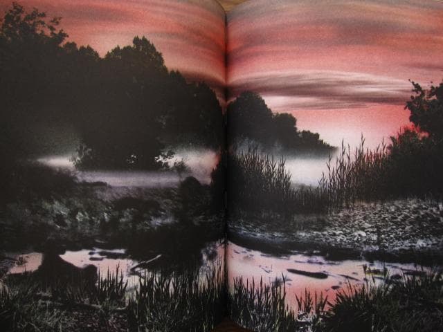 アート・デザイン・音楽 An Vogelhausen Mangelt Es Jedoch Nicht