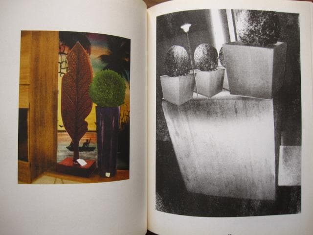 アート・デザイン・音楽 An Vogelhausen Mangelt Es Jedoch Nicht