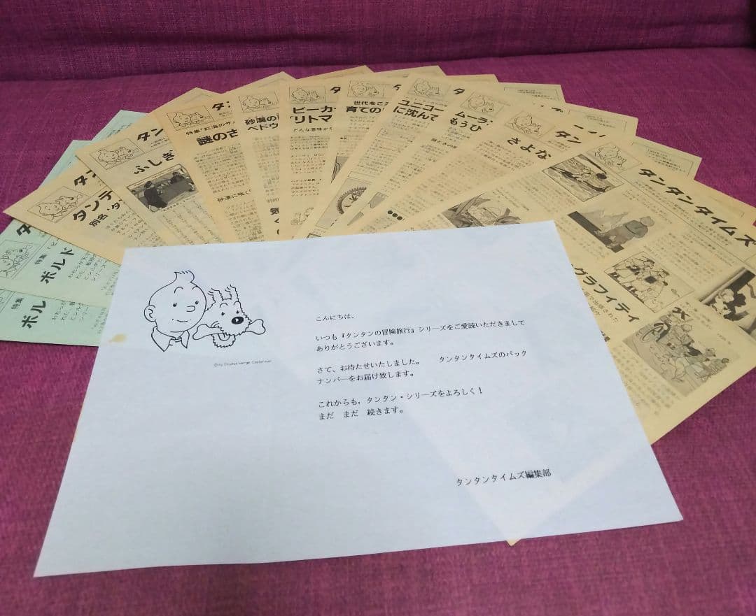 【ハードカバー版】福音館書店 エルジェ作「タンタンの冒険」全24巻セット