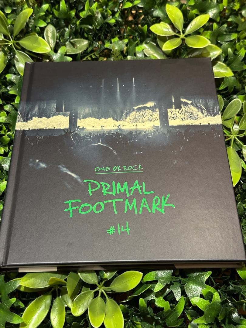 ONE OK ROCK PRIMAL FOOTMARK #14 シリアルコード有