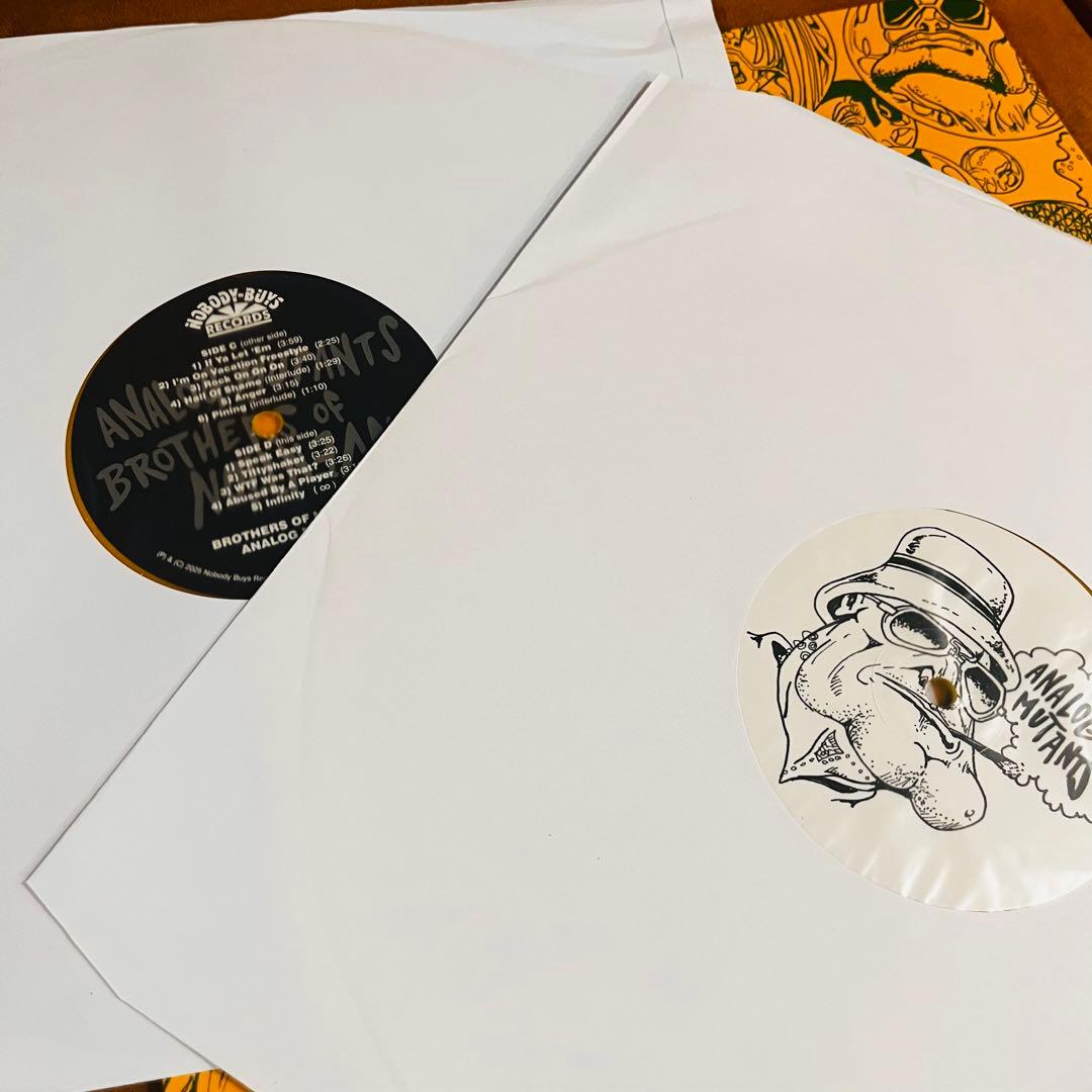 洋楽 ANALOG MUTANTS BROTHERS OF INVEHTION