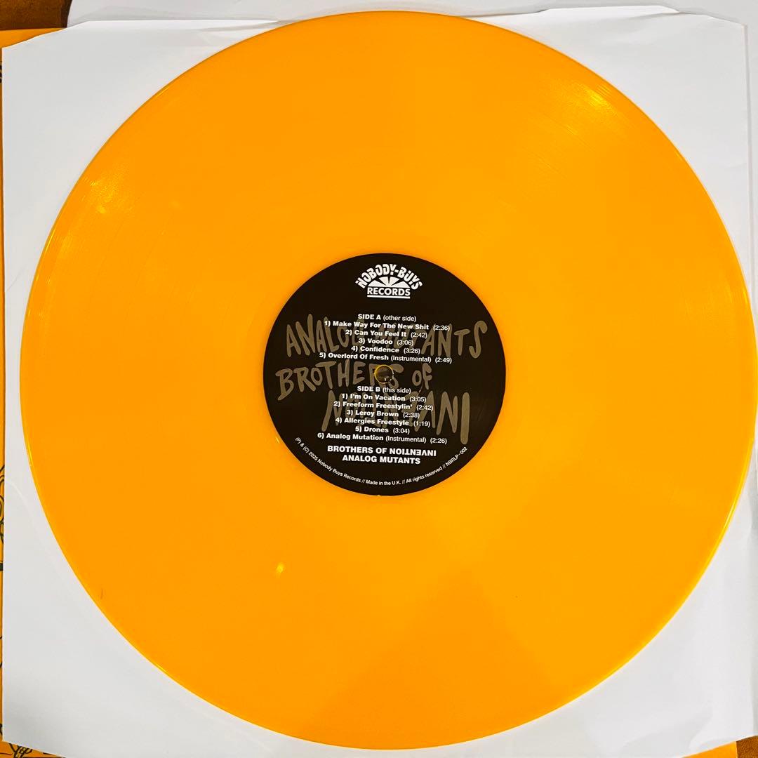 洋楽 ANALOG MUTANTS BROTHERS OF INVEHTION