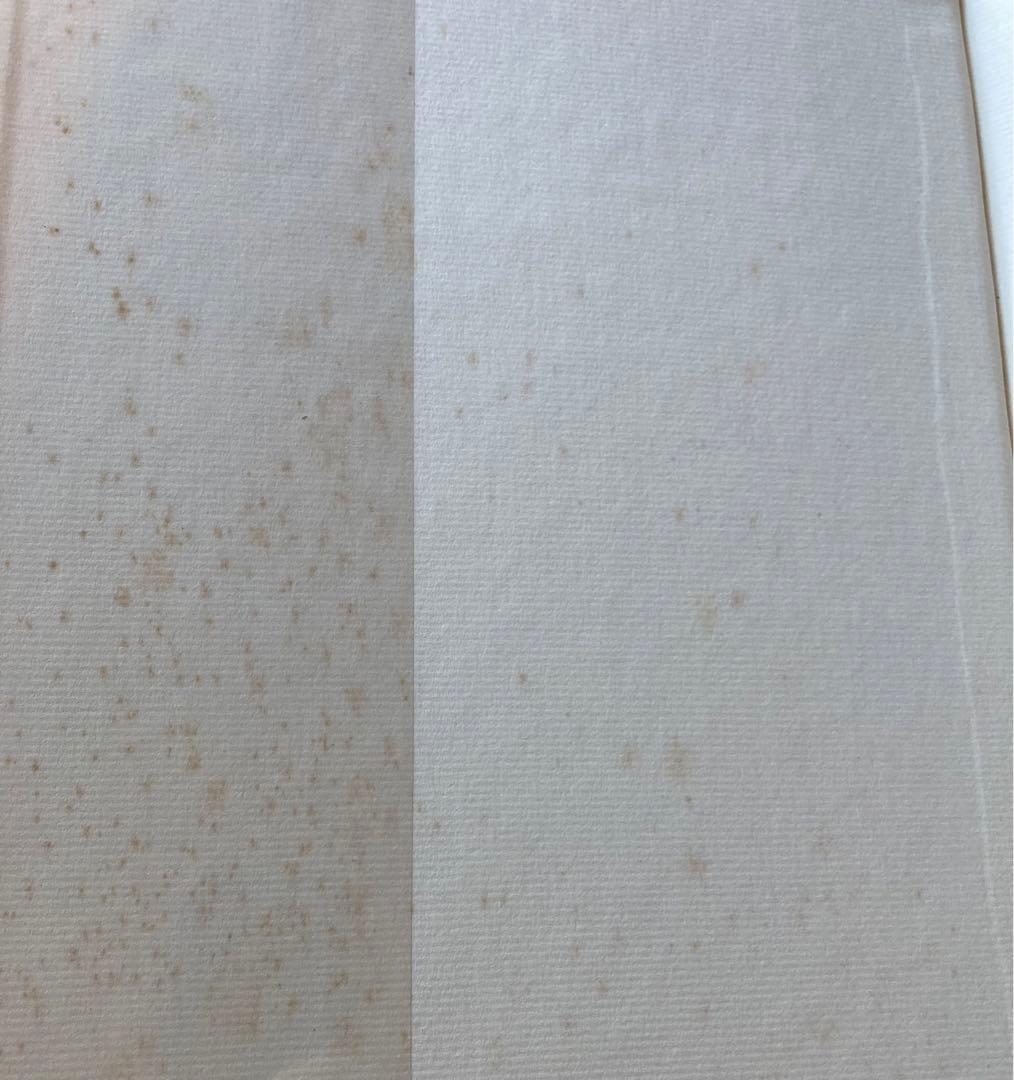 人間と音楽の歴史　記譜法　2冊セット　★