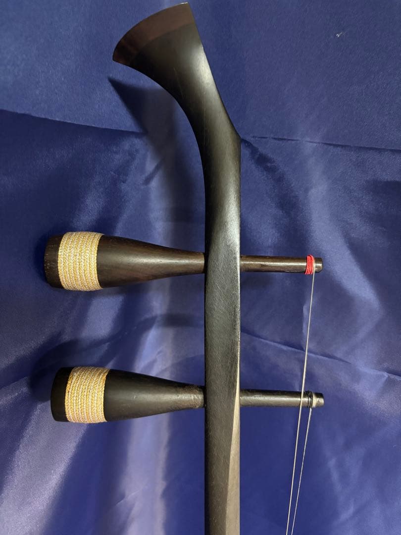 西野二胡　光舜堂（中上級者向け）