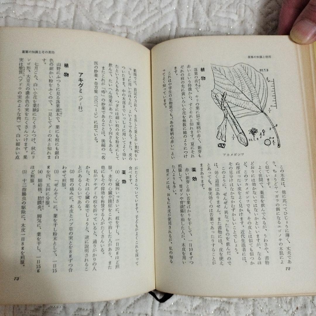 【希少】薬草の知識と効用