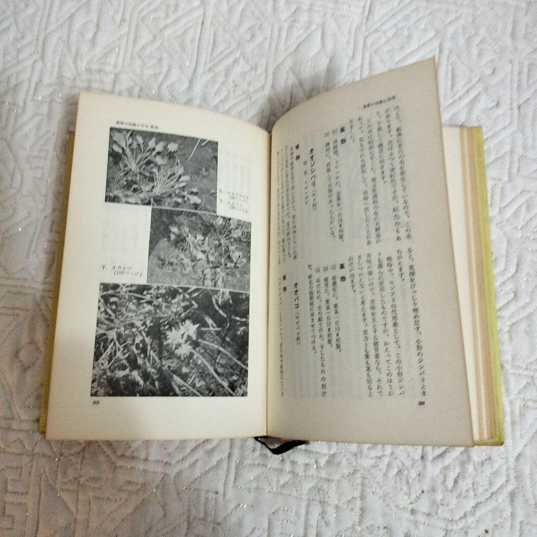 【希少】薬草の知識と効用