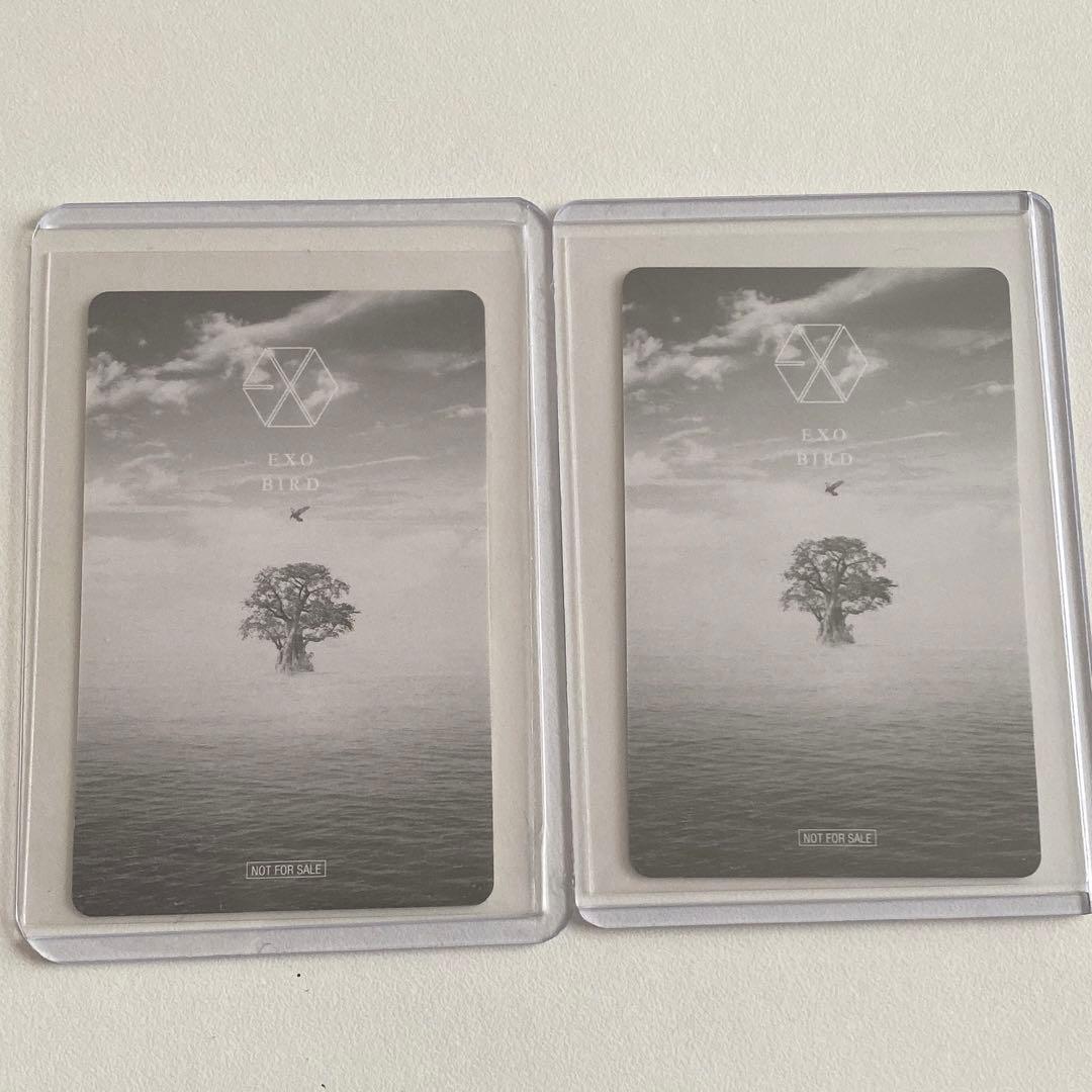 EXO bird トレカ チャニョル セフン 会員限定
