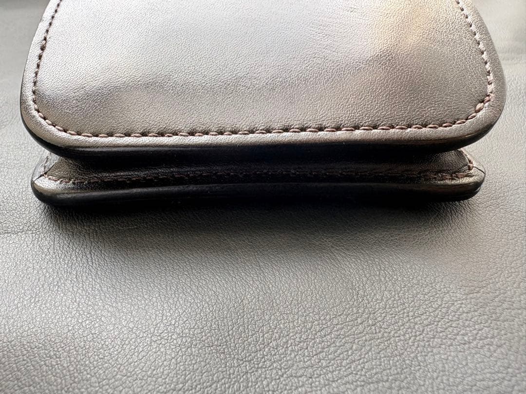 カーサ　CASA フルグレインブライドルレザー　ブラック　ワイルドスワンズ