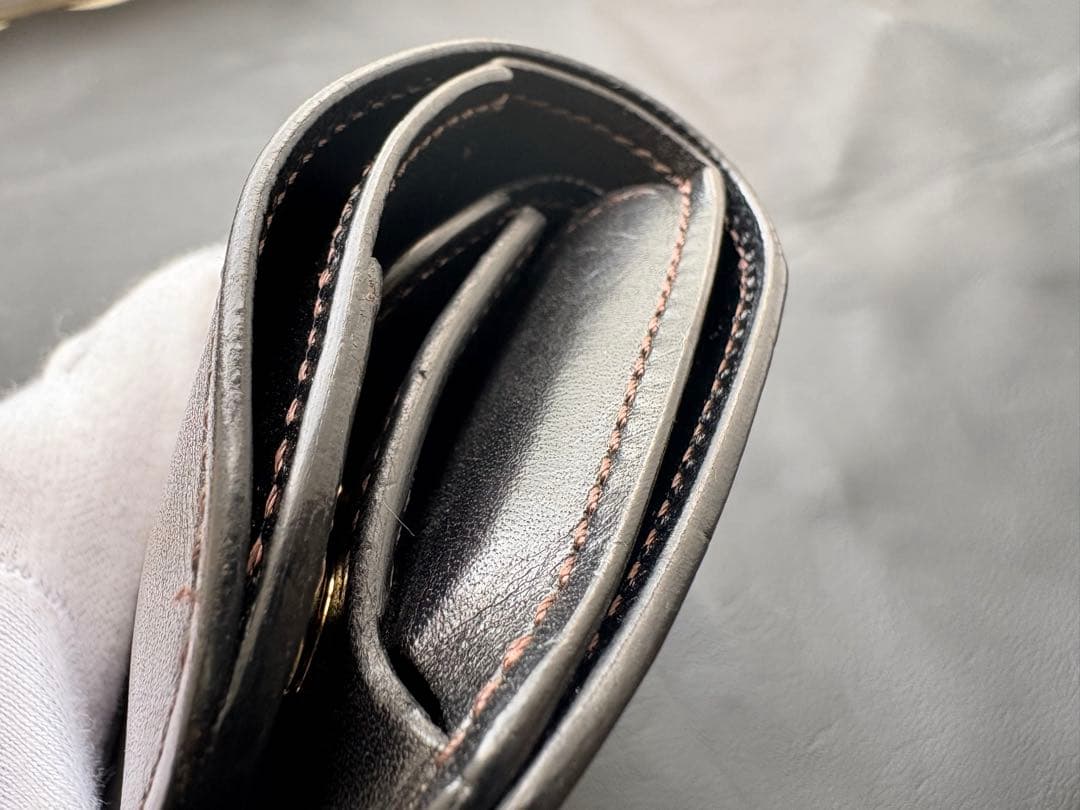 カーサ　CASA フルグレインブライドルレザー　ブラック　ワイルドスワンズ