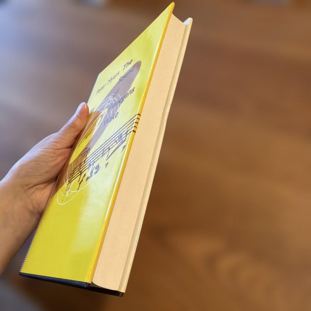 洋書 The Sound of Finnegans Wake: Peter Myers