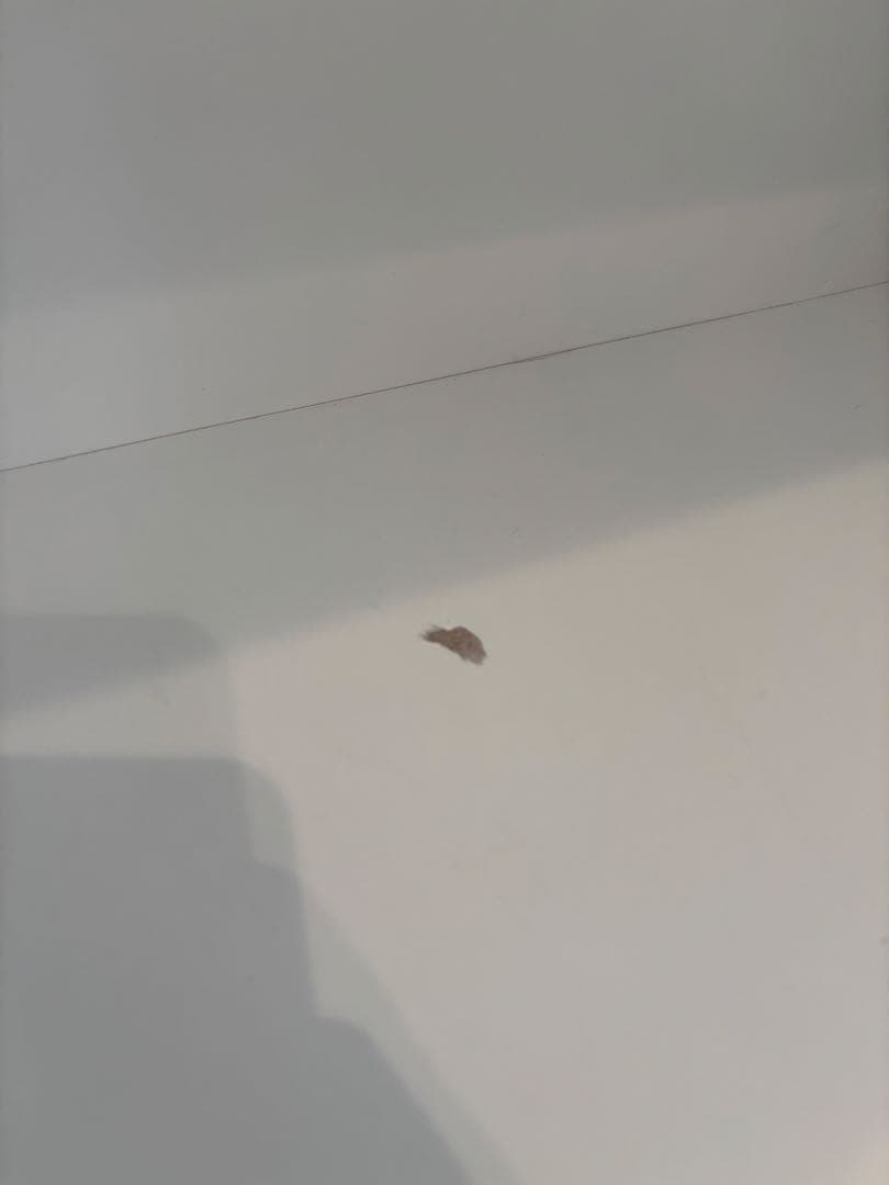 キッチンボード キッチンカウンター 幅120【送料込み】