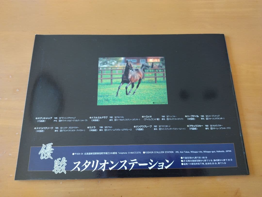 優駿 スタリオンステーション