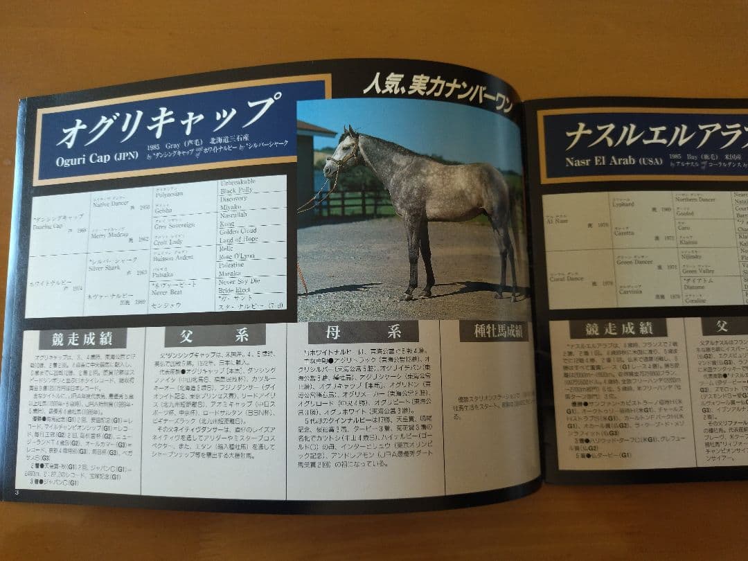 優駿 スタリオンステーション