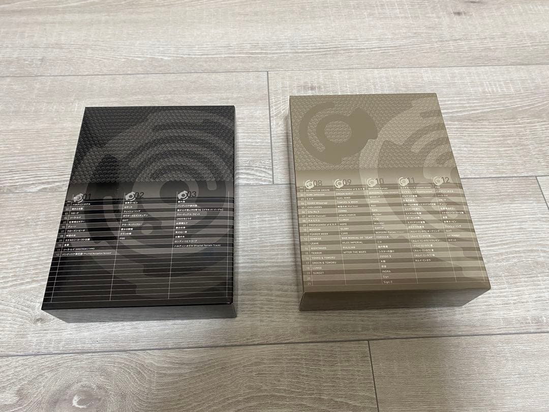 20世紀+BOX HALDYN DOME 平沢進　ソロ