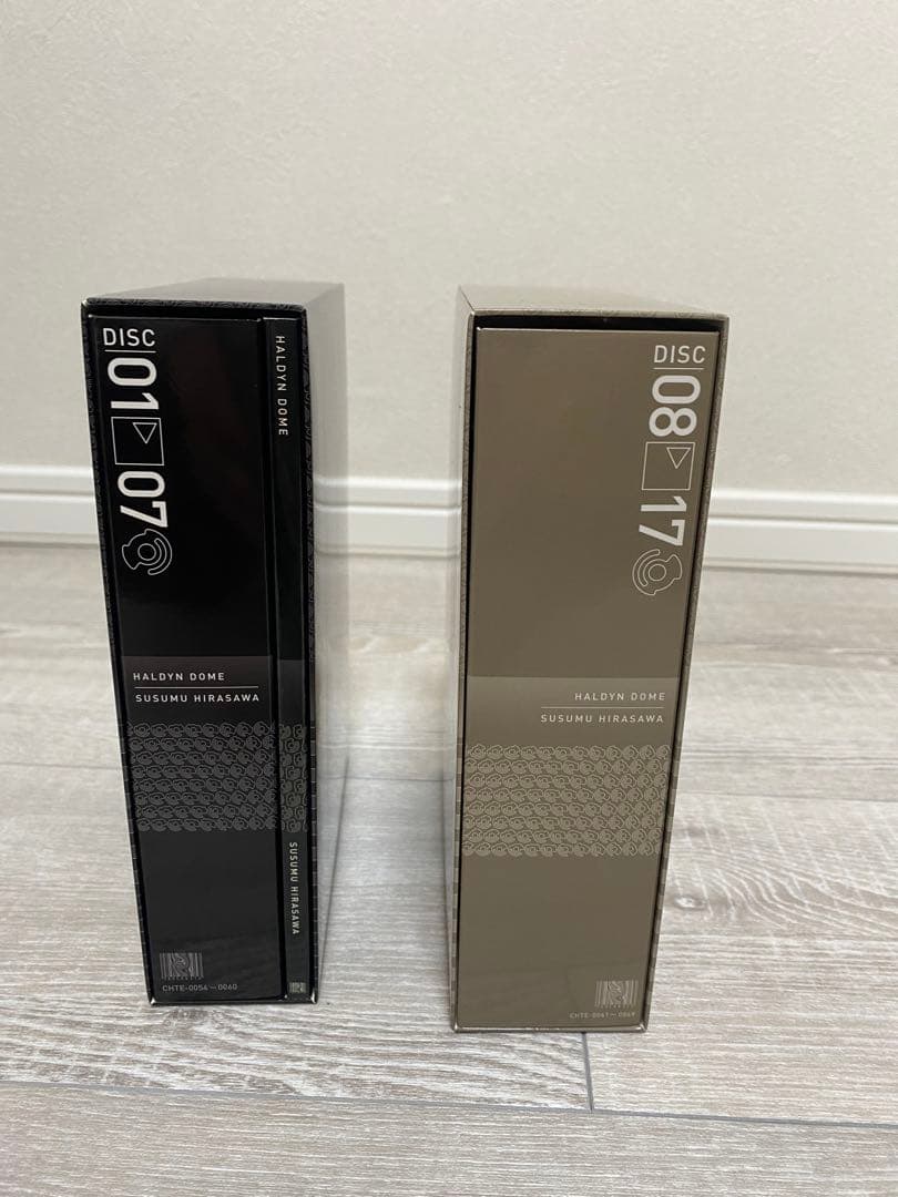 20世紀+BOX HALDYN DOME 平沢進　ソロ