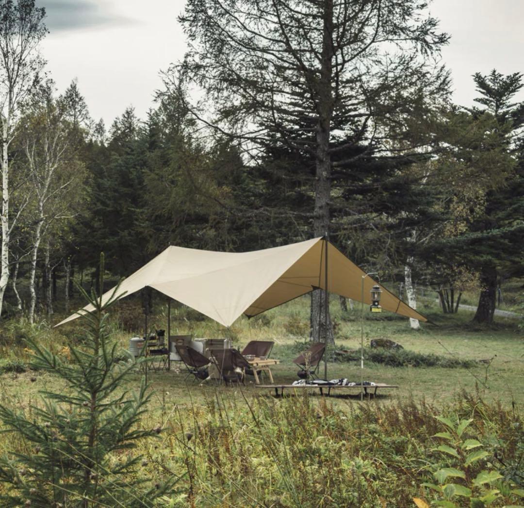 ゼインアーツ　ゲウ おまけ付き