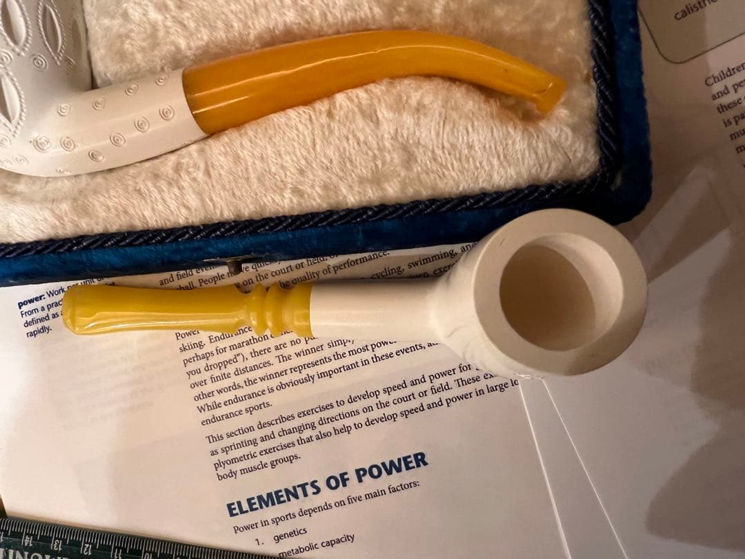 専用です　購入不可　メシャム　パイプ　２本　ケース付き