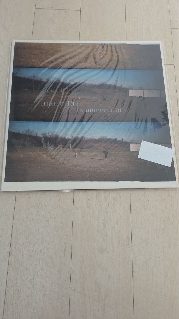 LP盤 Marietta summer death NEAR MINT発