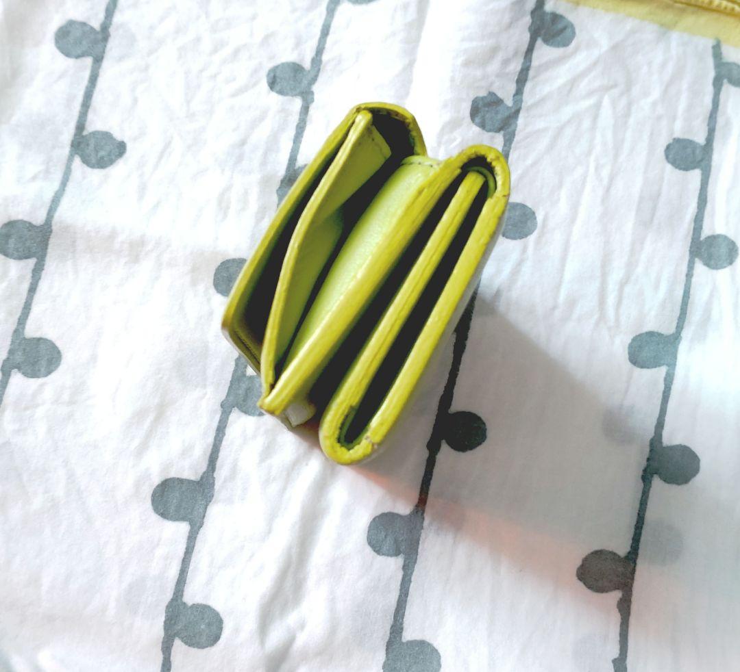 IVY: コンパクト財布 イエローグリーン　FUMIKODA　(フミコダ)