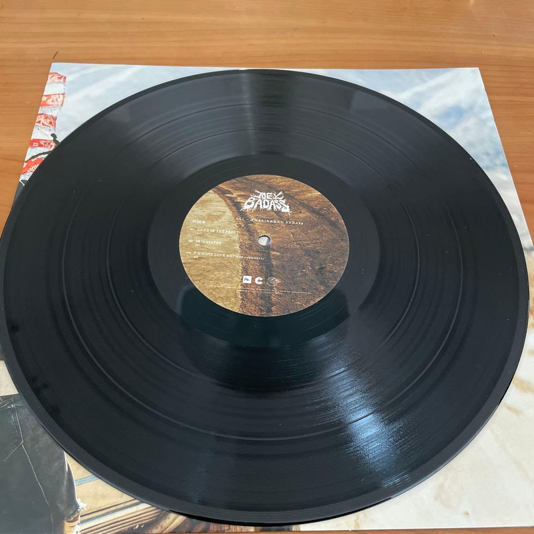 洋楽 JOEY BADA$$ ALL-AMERIKKKAN BADA$$