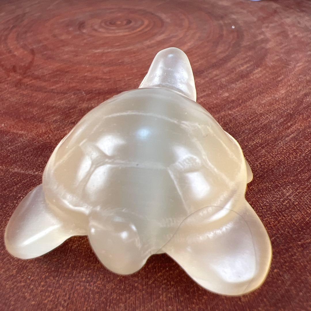 ❣️❣️❣️Aceth❤❤❤値引き不可様　シラーのかわいい亀　キャッツアイ　オレンジ