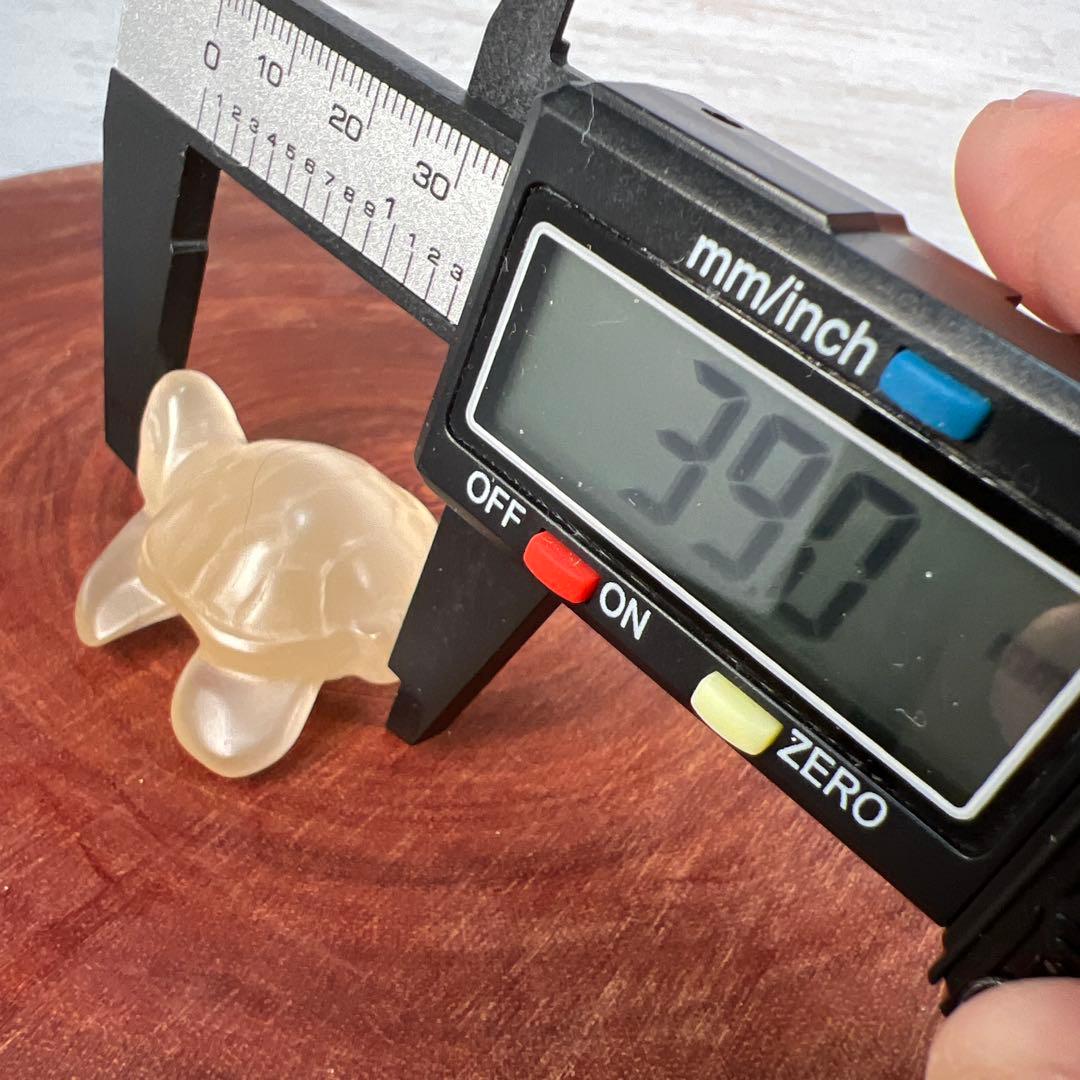 ❣️❣️❣️Aceth❤❤❤値引き不可様　シラーのかわいい亀　キャッツアイ　オレンジ