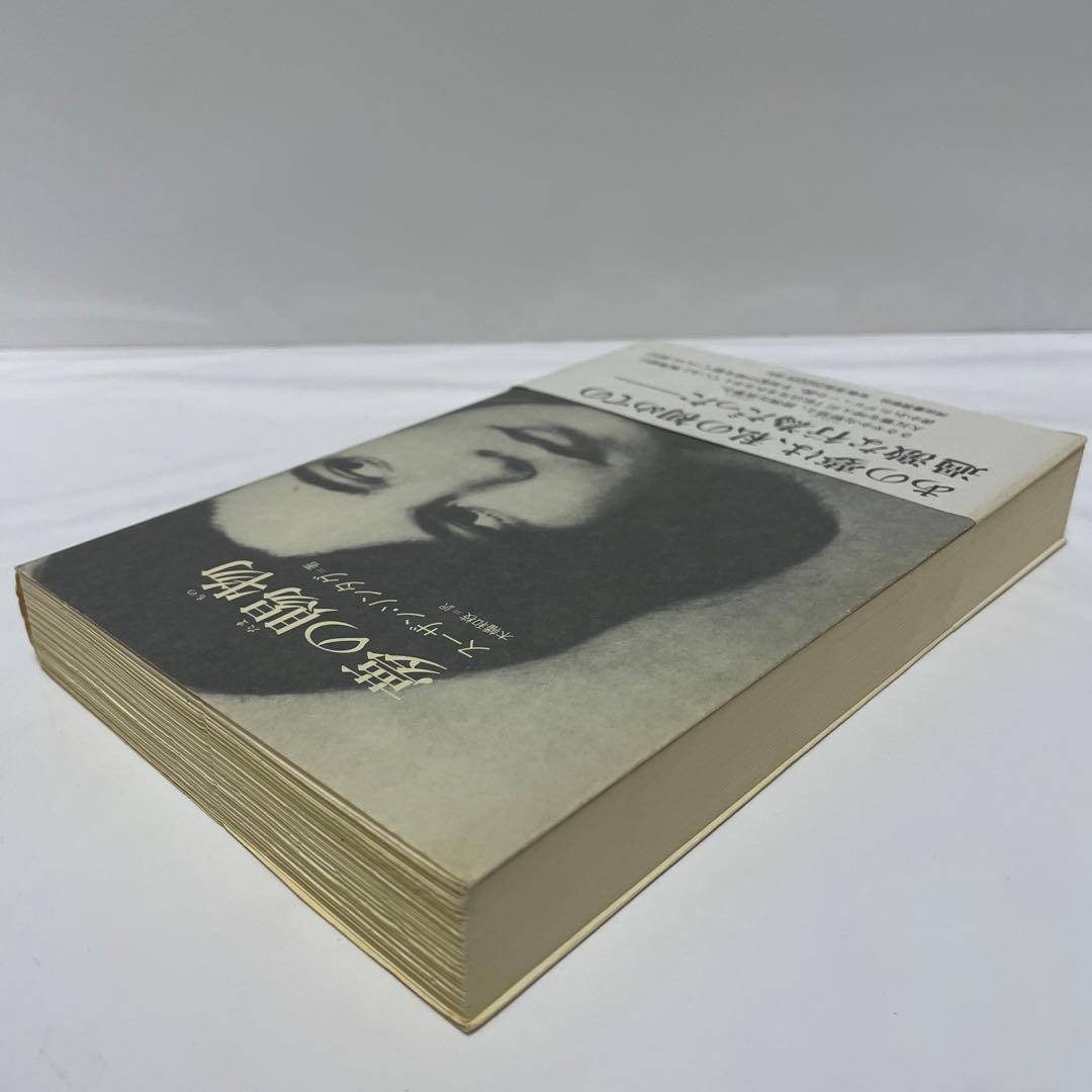 夢の賜物　スーザン・ソンタグ