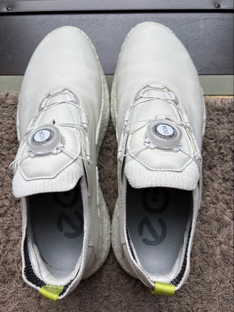 ECCO(エコー)Golf Biom H5 Hybrid