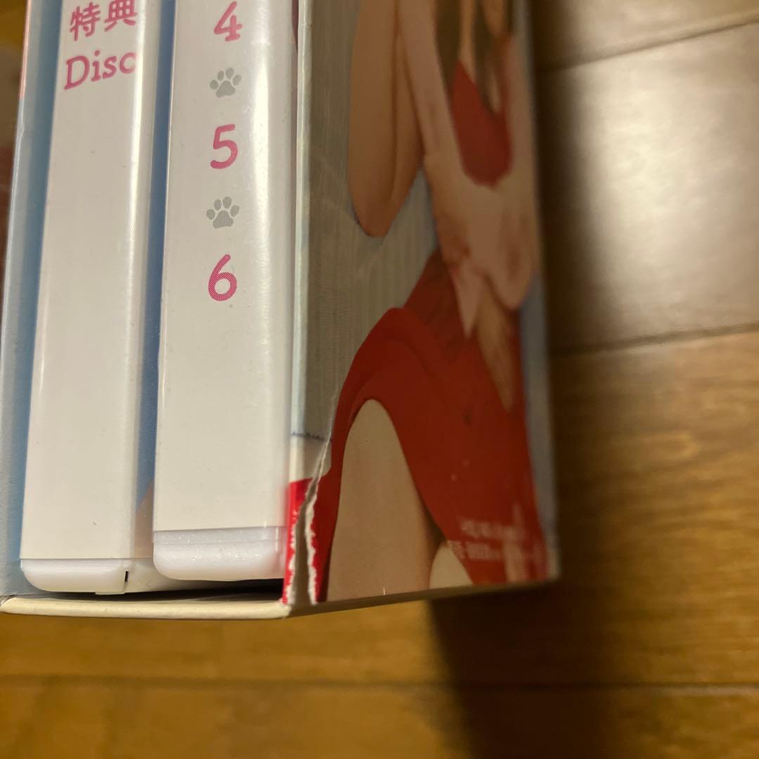 セール★きみはペット　DVD　完全版