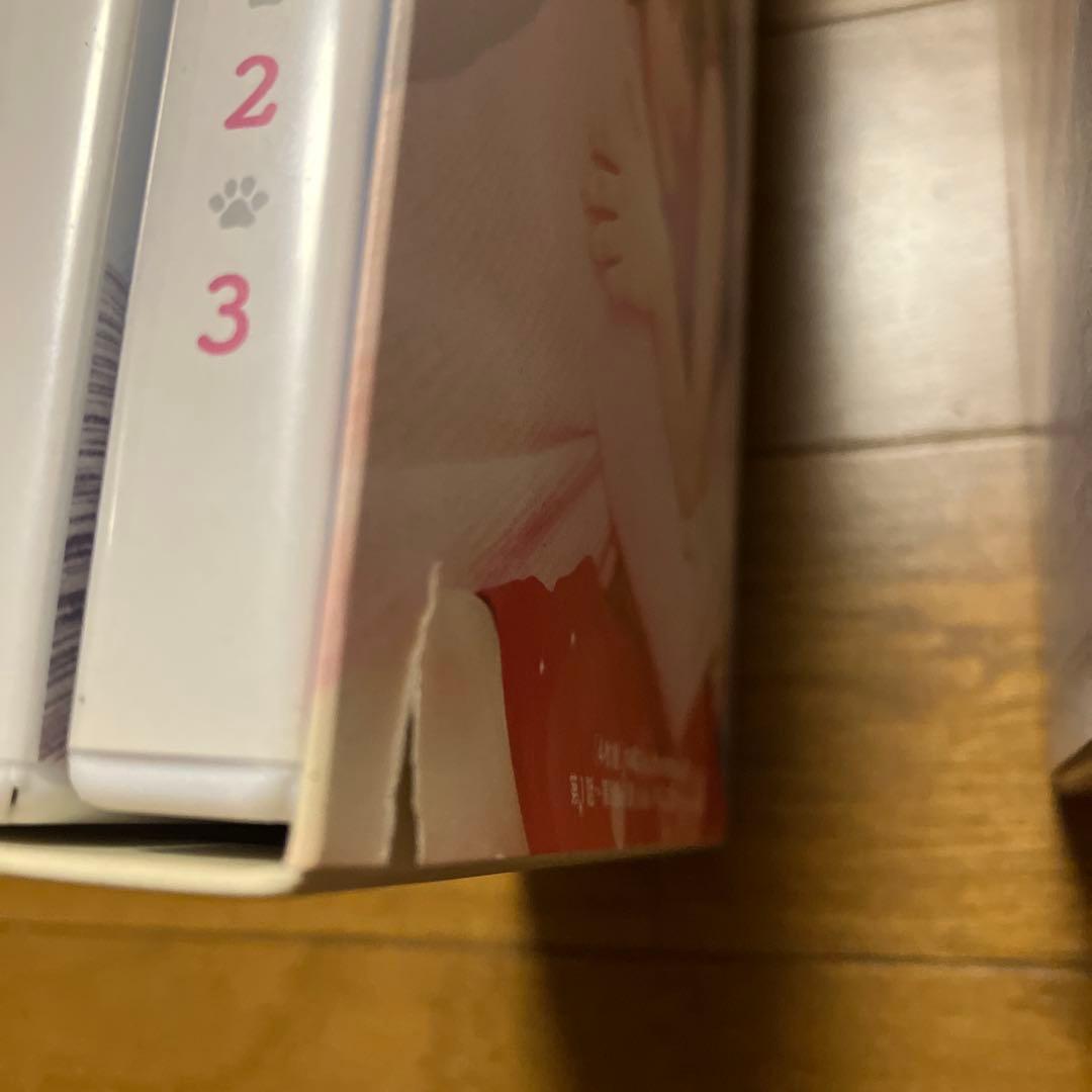 セール★きみはペット　DVD　完全版