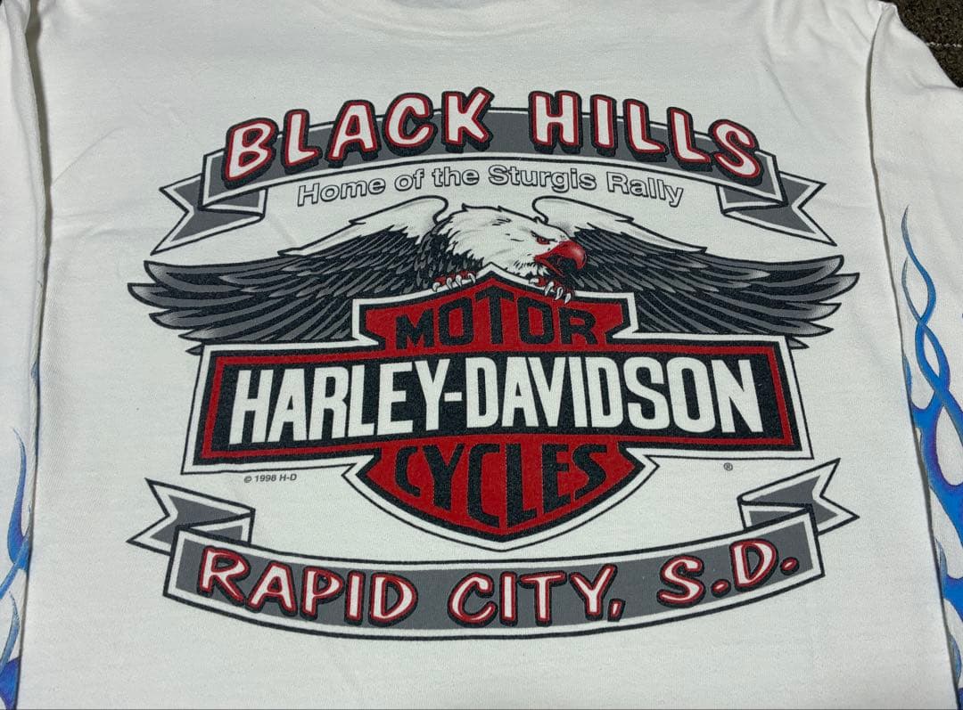 L 90s harley davidson ブルーフレイム ロンT ハーレー