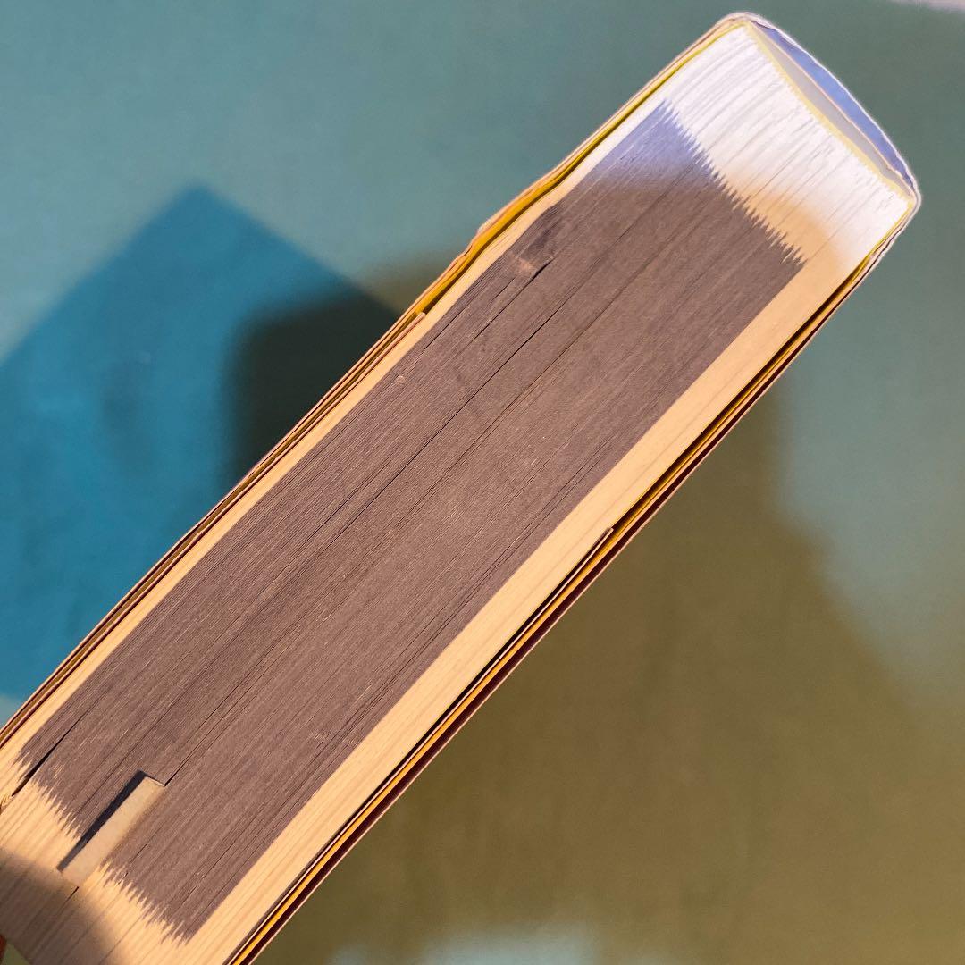 52. JavaScriptポケットリファレンス　小口にやや汚れとシールがある。