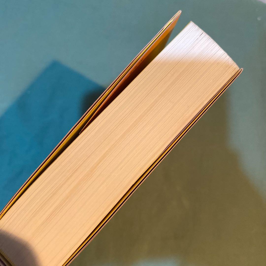 52. JavaScriptポケットリファレンス　小口にやや汚れとシールがある。